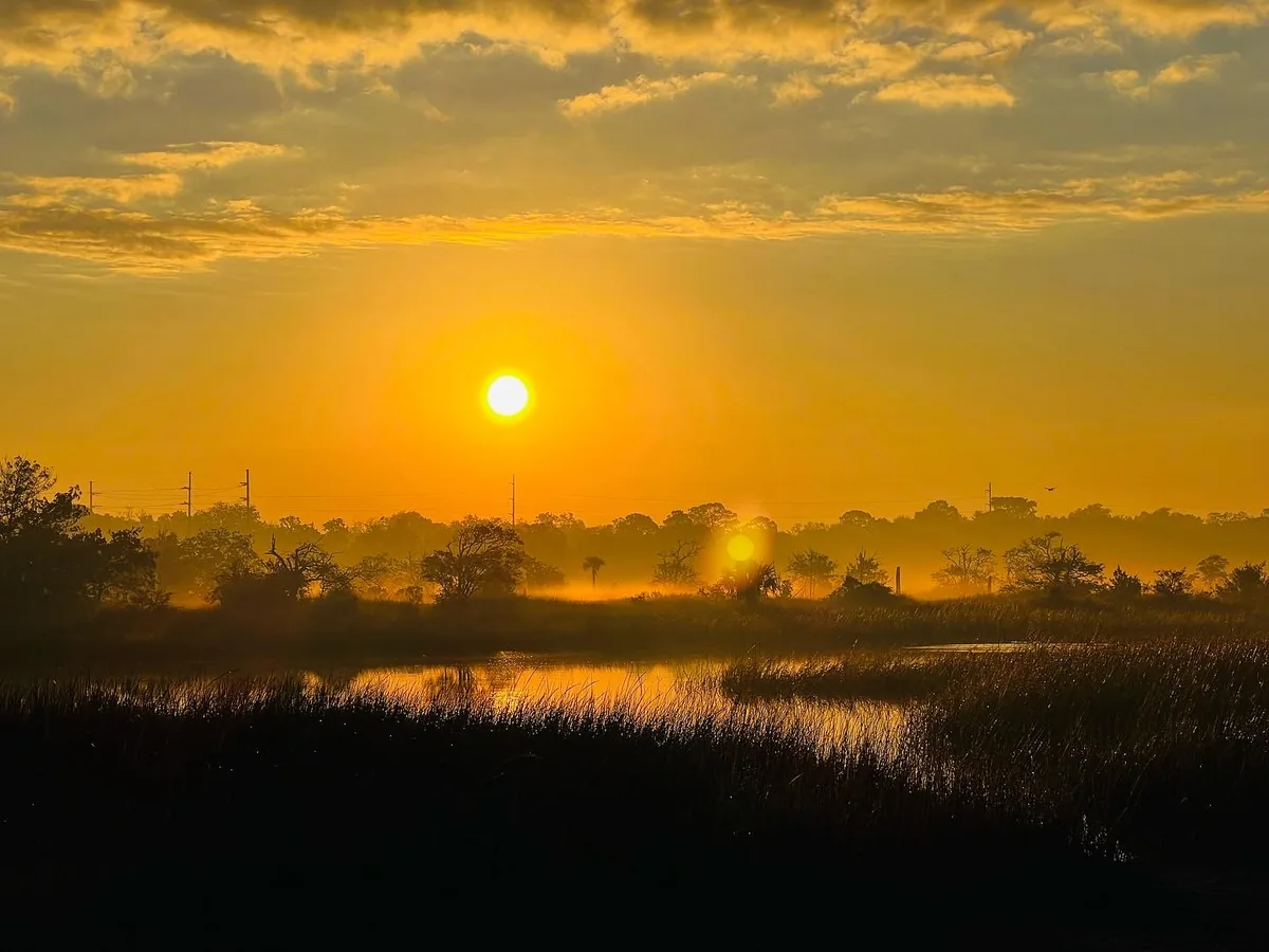 Sunrise over a Florida marsh