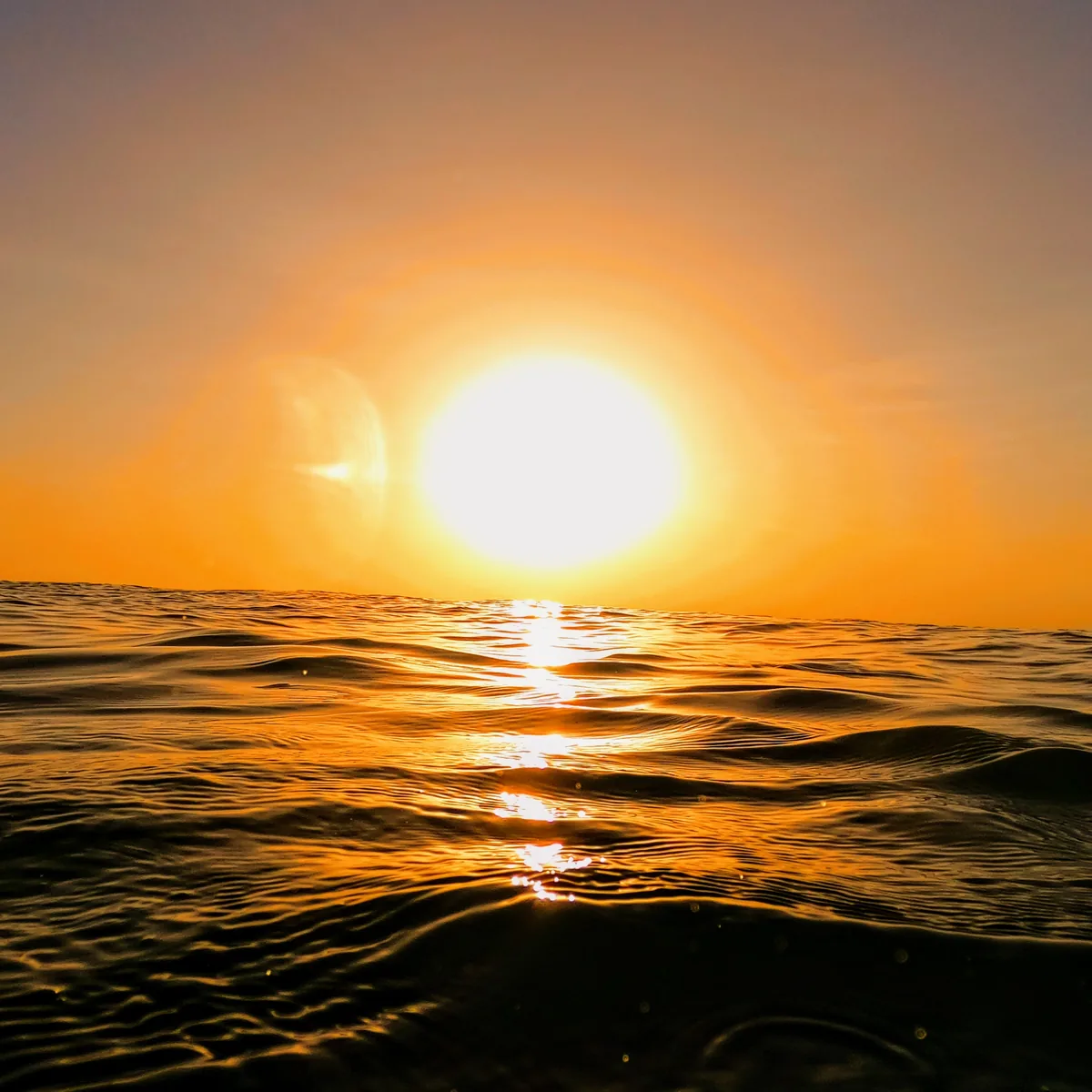 Sunset from the water