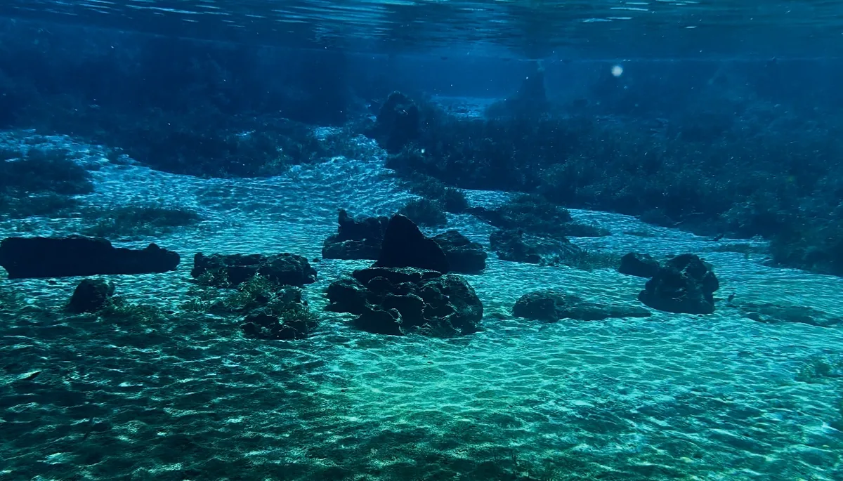 Underwater in a clear spring